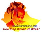 Afar tourist attack - Tigrai Online