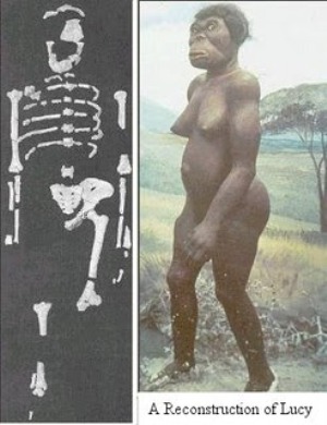 Lucy was found in Ethiopia in 1974