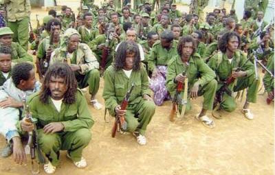 Red Sea Afar Democratic Organization 