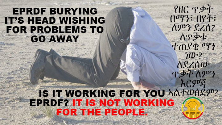 EPRDF is burying its head in the sand