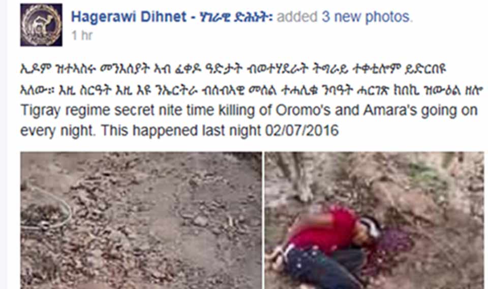 A stolen photo from Yemen psoted at a Eritrean government Face Book page as Ethiopians killed by police