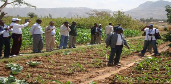 A high level UN delegation Visits Tigrai State they are wowed - Tigrai Online
