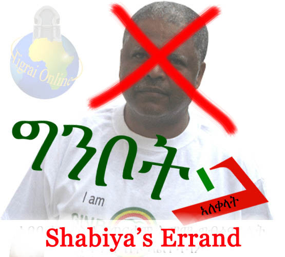 Who is Shabiya’s Errand ?