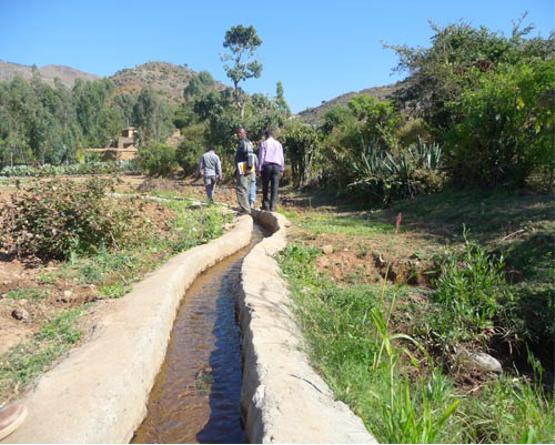 Awlaelo irrigation supported by usaid in Tigrai State, Ethiopia