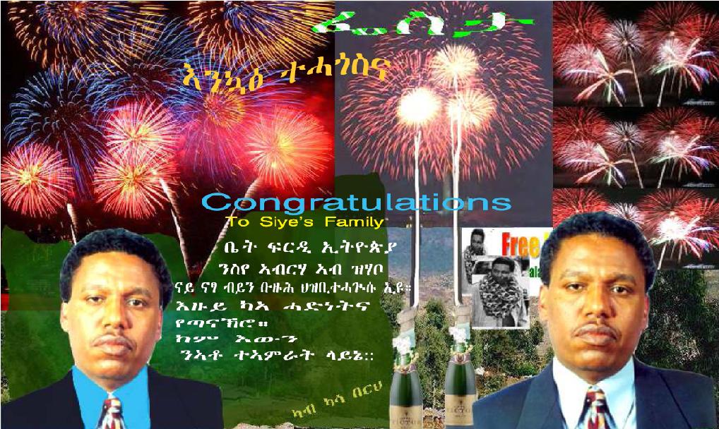Fighter former defence minister father brother son Siye Abraha, free at last