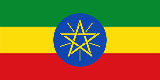 This is the current EPRDF version of Ethiopian flag 