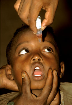 Tigrai Online - An Ethiopian child getting immunized