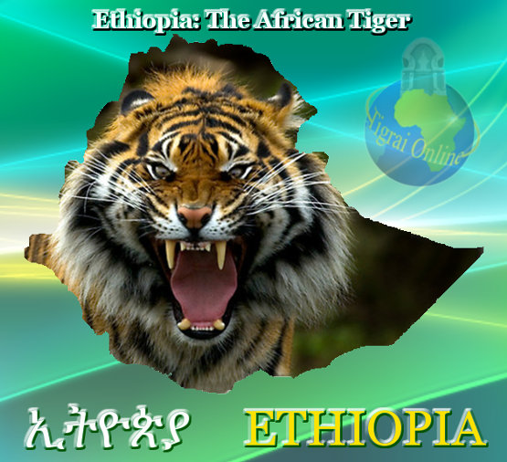 Ethiopia the fastest-growing economy and African Tiger
