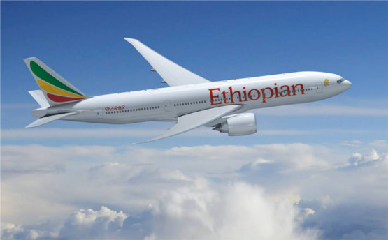 Ethiopian Airlines has made a record profit boosted by the Dreamliner