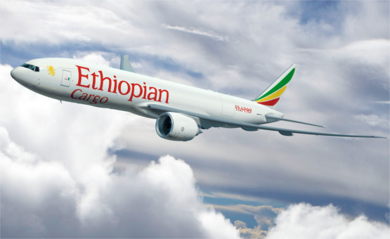  Ethiopian Wins the GOLD Boeing Performance Excellence Award