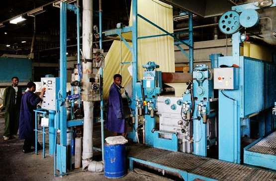 A review of Ethiopia's two decades of industrialization stride