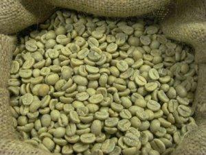 Tigrai Online - Ethiopian Coffee Beans