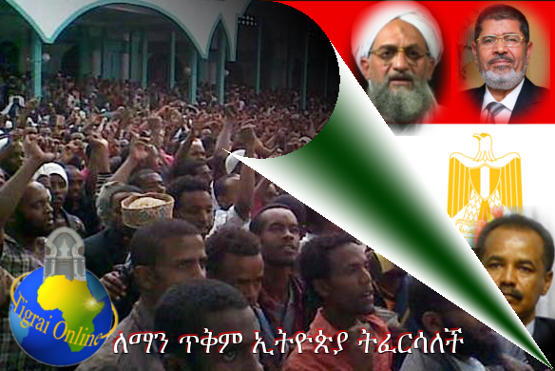 Ethiopian minority Muslim group heavily influenced by Arab Salafists