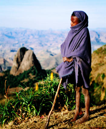 Ethiopian Simien mountain shepherd