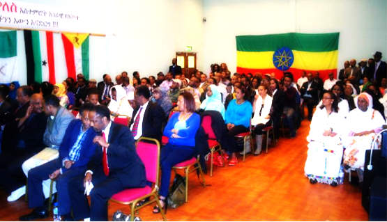 Members of the Ethiopian Diaspora in London pledged more rigorous support of the national economic transformation