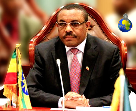 Newly Elected Acting Prime Minister Hailemariam Desalegn