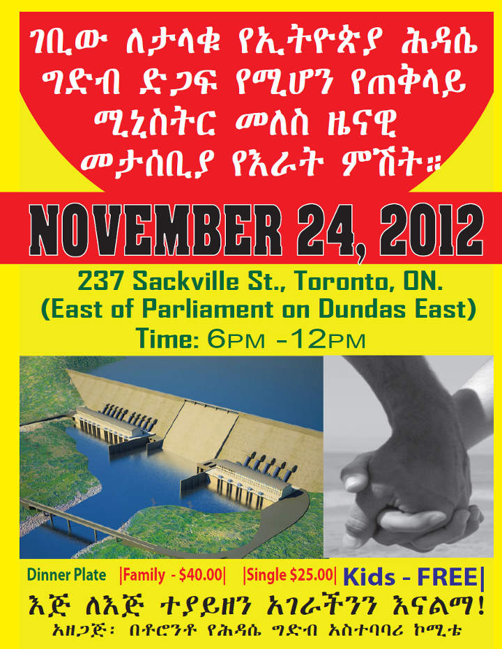 DC TDA - Tigrai Online