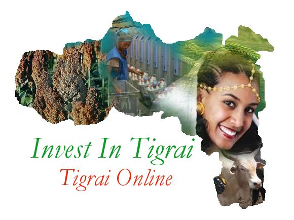 Tigrai Online - Invest in Tigrai State in Ethiopia