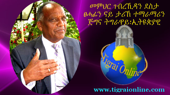 Memhir Gebrekidan Desta interview with Radio Snit