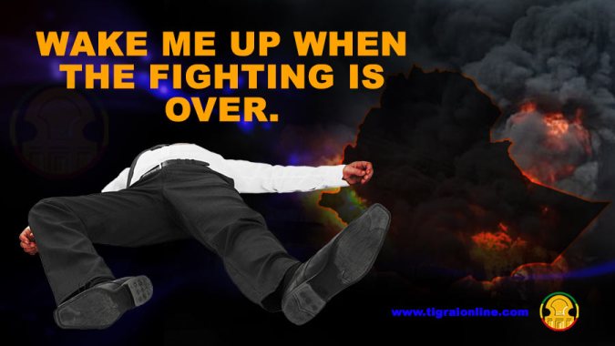 Incapacitated Caretaker Ethiopian Government