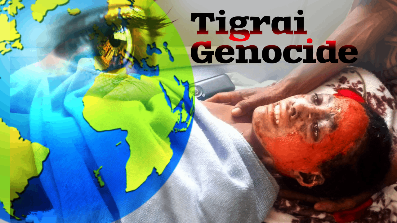 A Call for International Accountability on the Genocide War in Tigray: Reinvigorating Desta Asgedom’s Book