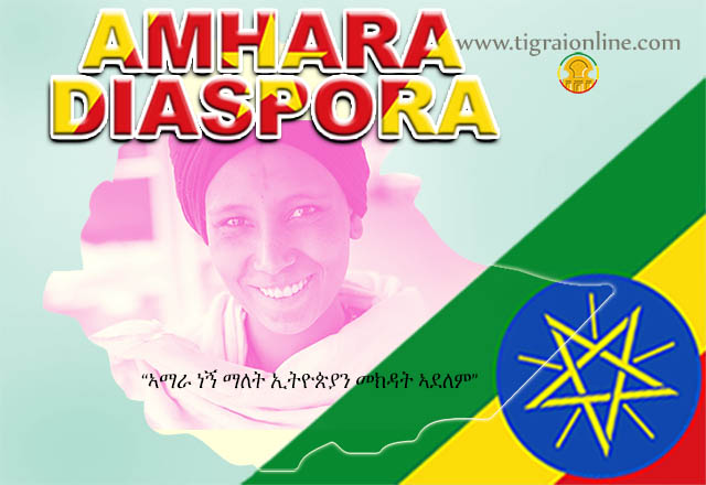 Engaging Amhara Diaspora to invest in Ethiopia