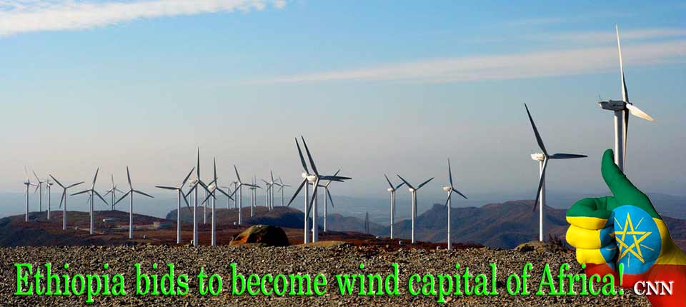 Ashegoda wind farm the first lrgest wind farm in Africa located in Tigrai State Ethiopia