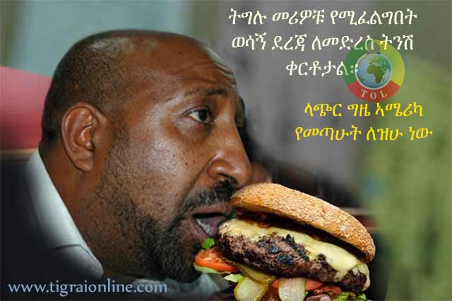 Berhanu Nega sneaks in to the United States from Eritrea