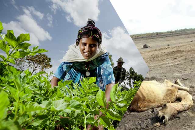 Ethiopia should use its waters to produce more food to feed its people
