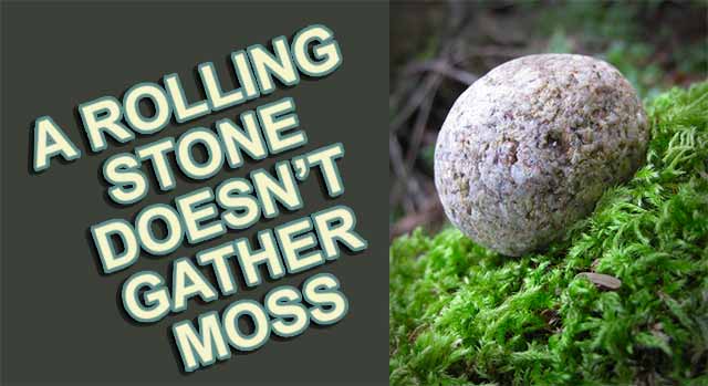 EPRDF being a no rolling stone, it gathers deadly algae and moss every now and then, so it ferociously rubs it away