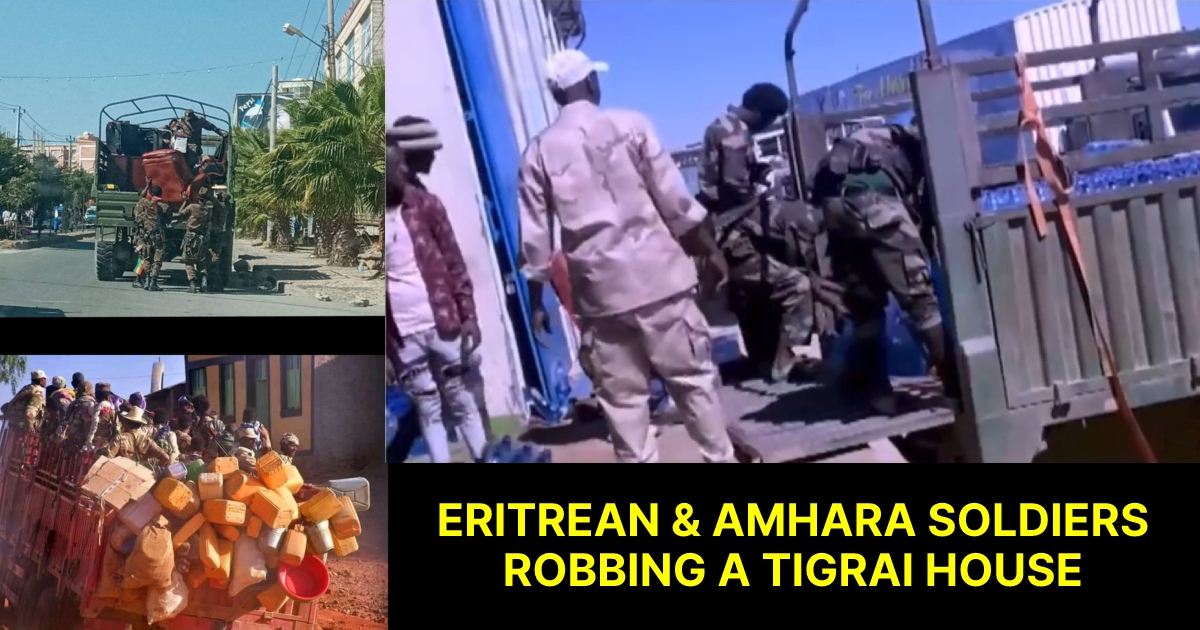 Eritrean & Amhara soldiers robbing a Tigrai house