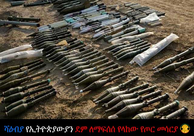 Eritrean terrorist group armed to the teeth managed to enter southern Ethiopia
