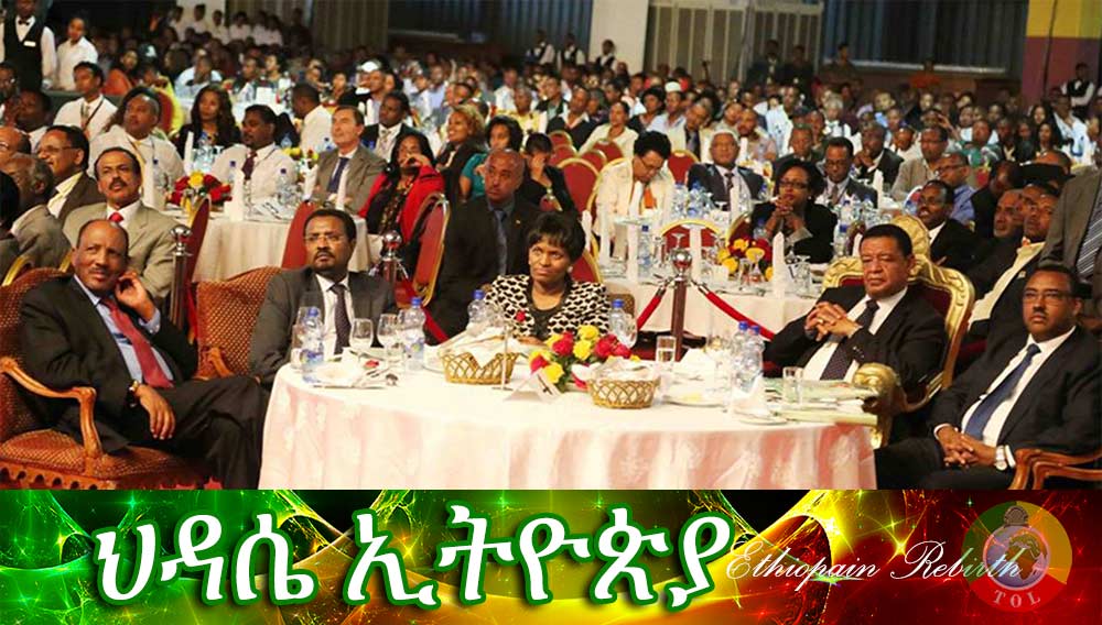 Mobilising Ethiopian Diaspora Capital and Knowledge Networks for Economic Growth and Transformation