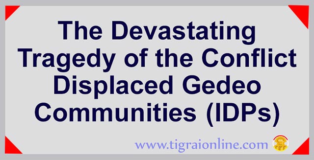 Humanitarian Crises of the Internally Displaced People in Ethiopia