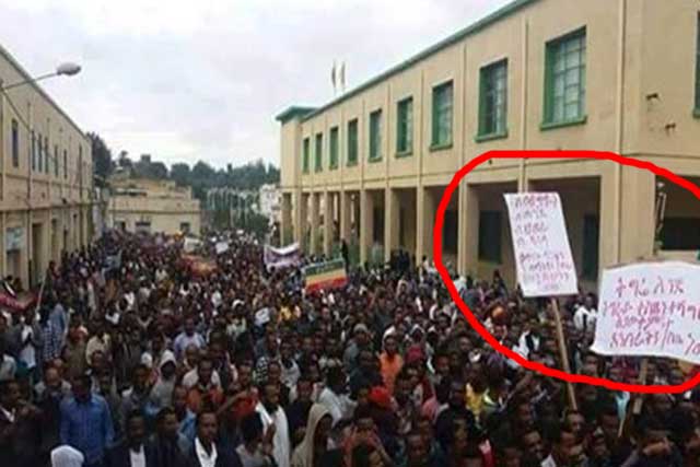 Gonder protest photos