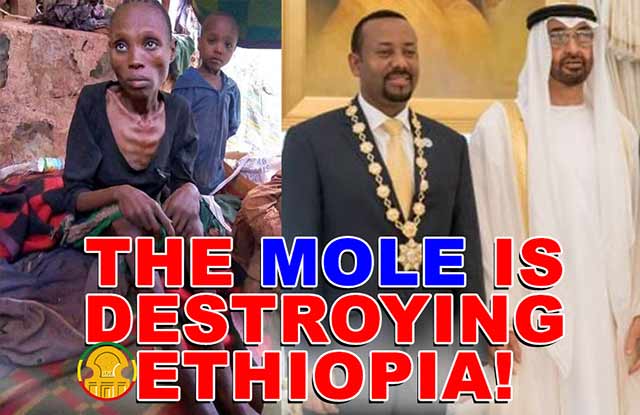 The mole working for foreign countries is destroying Ethiopia
