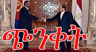 Eritrean president in Cairo