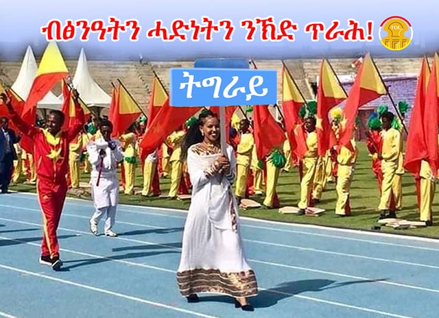 Humanitarian Crises of the Internally Displaced People in Ethiopia