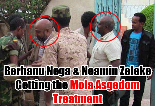 Neamin Zeleke admited to VOA there is cordial relation between Ginbot-7 and Eritrea