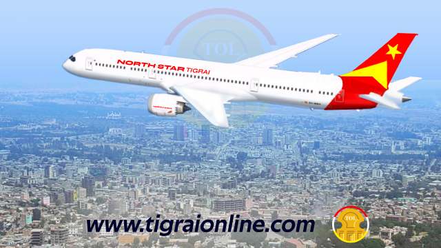 Tigrai to have its own airlines