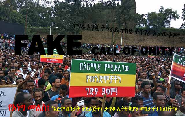 Egyptian botched plots to break up Ethiopia exposed oromo vs amhara
