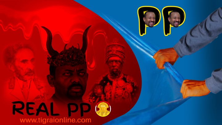 Tigrai people national conference concludes, Tigrai people rejected Prosperity Party