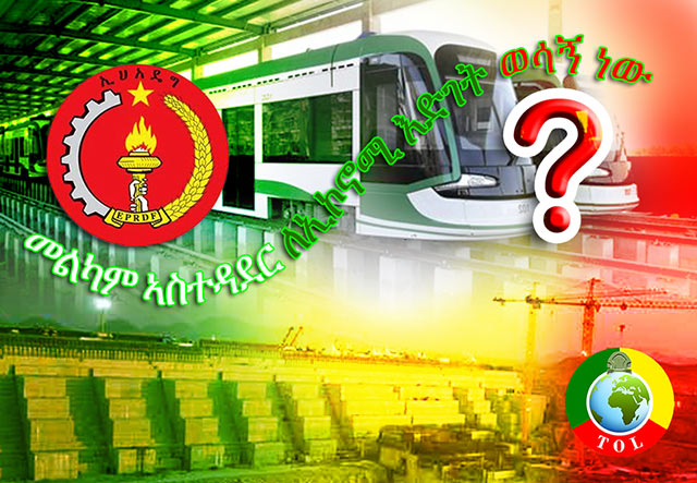 Observations and Questions for EPRDF by Teodros Kiros