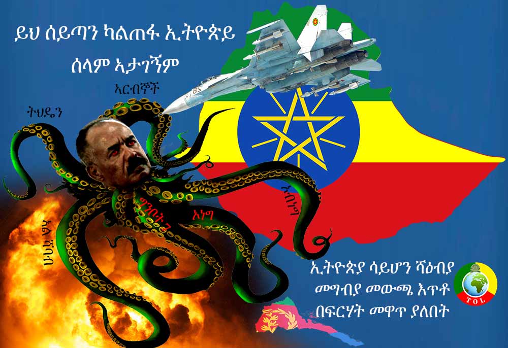 Ethiopia should remove the Eritrean regime from power