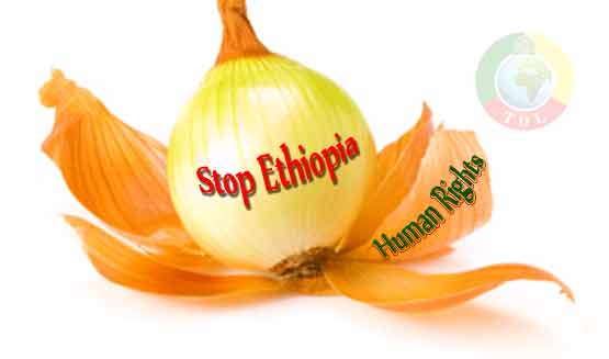 Oakland Institute targets fashion retailer Hennes and Mauritz - H&M for investing in Ethiopia