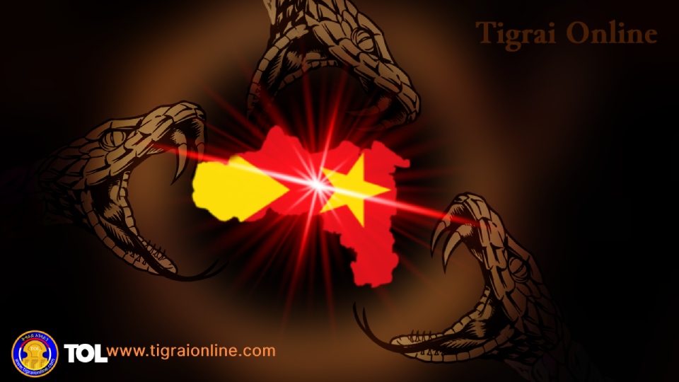 European Parliament adopts strong resolution of 26 November 2020