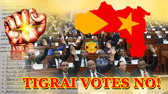 Ethiopian members of parliament were coerced to approve illegal bill