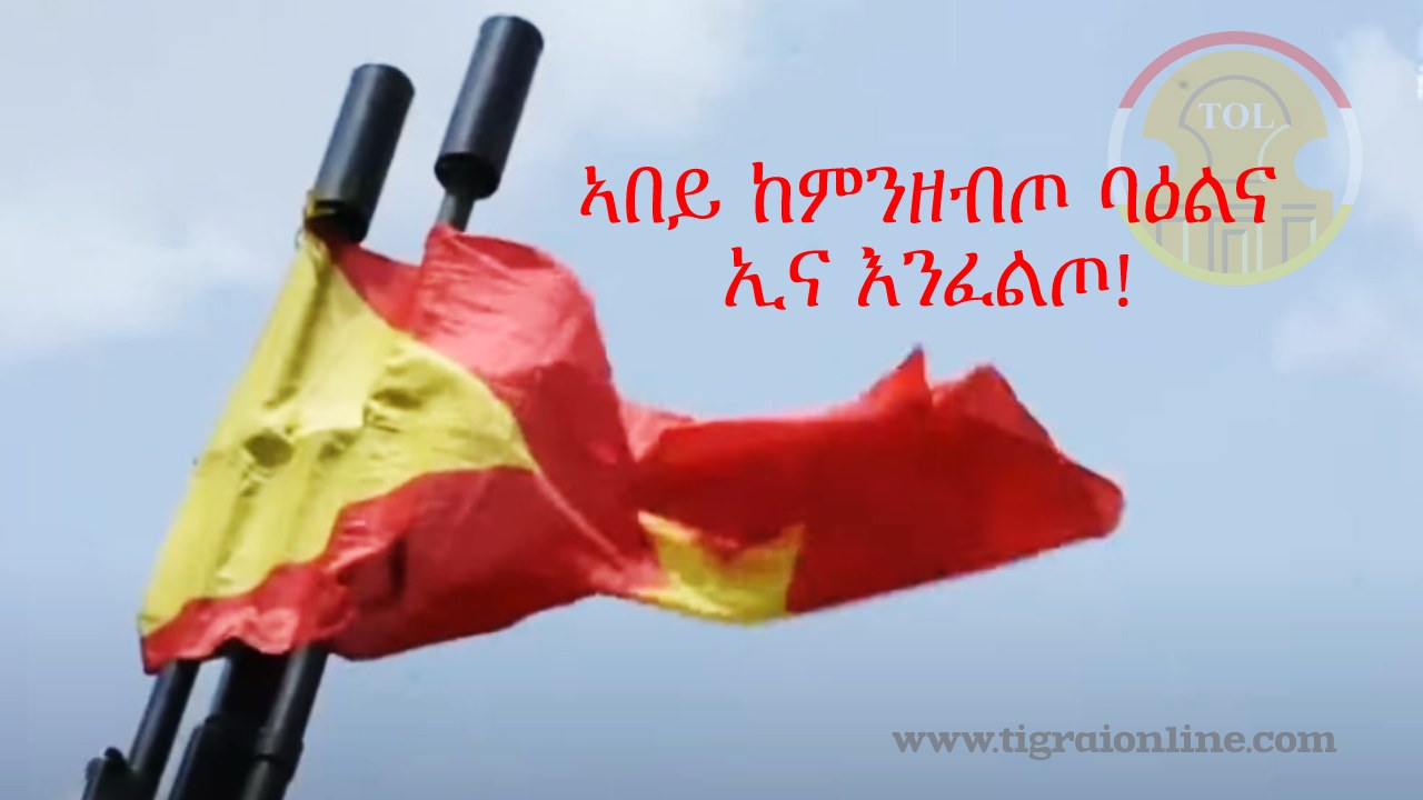 Tigrai flag on anti airdraft