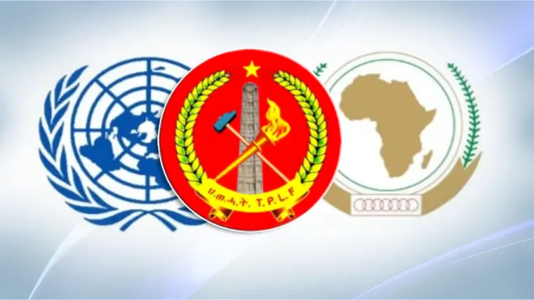 Drone Strike Violates Pretoria Peace Deal: TPLF Seeks Intervention