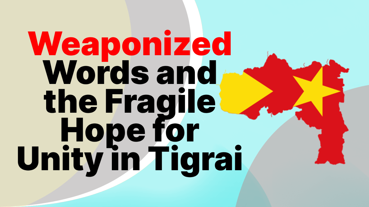 Fractured Tapestry: Weaponized Words and the Fragile Hope for Unity in Tigray